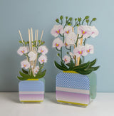 PROFUMATORE PER AMBIENTI 100 ML - LIVINIA PICCOLO ORCHIDEA BIANCO