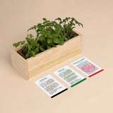 KIT DI AUTOCOLTIVAZIONE PIZZA