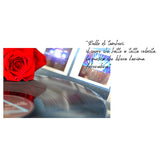 PERSENTIO DUE ANIME DIFFUSORE A BASTONCINI NSG CONCEPT STORE MALCESINE