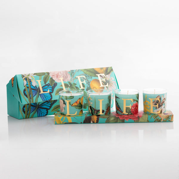 CAPSULE COLLECTION LIFE CERERIA PERNICI