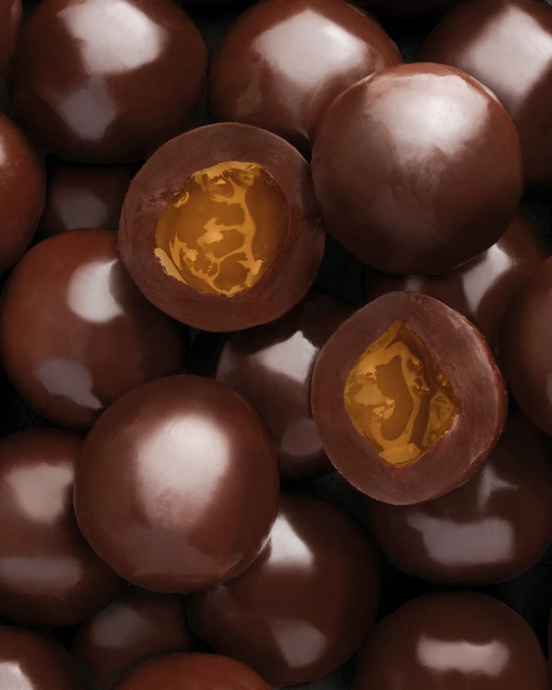 LATTA BOULE GOURMET ASSORTITA LEONE