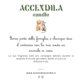 ACCENDILA CANDELA AMICO PELOSO